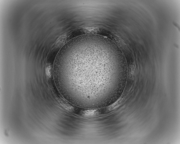 X0000098010090200804071339