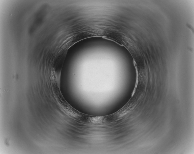 X0000098010092200804071339