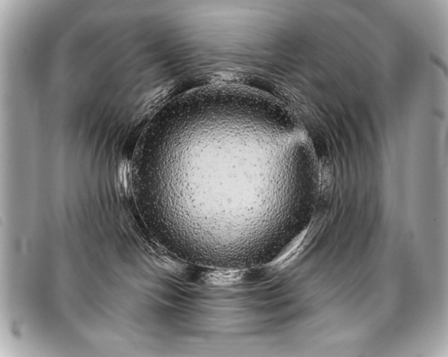 X0000098010094200804071339