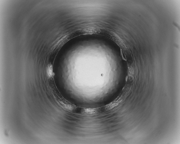 X0000098010095200804071339