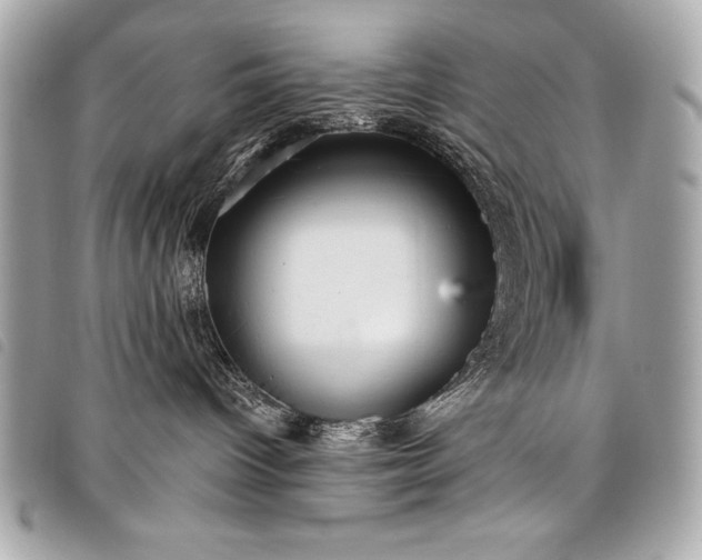 X0000098010096200804071339