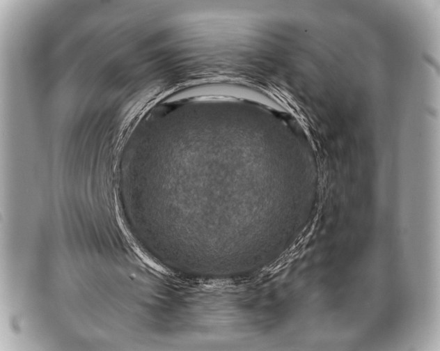 X0000098010097200804071338