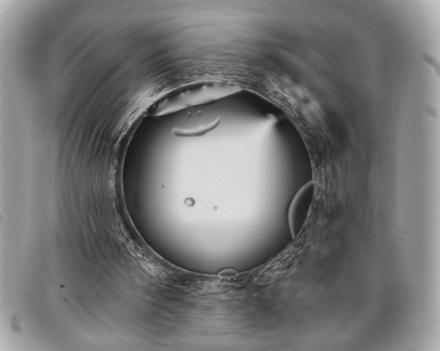 X0000098010098200804071338