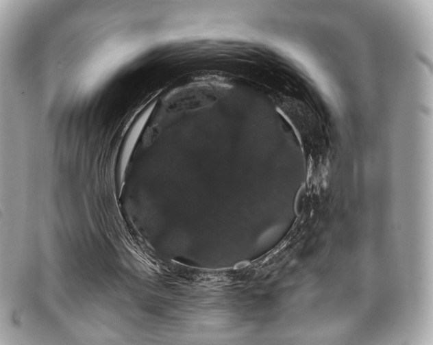 X0000098010099200804071338