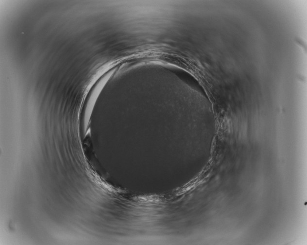 X0000098010100200804071338