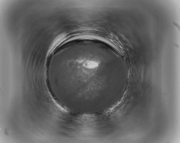 X0000098010101200804071338