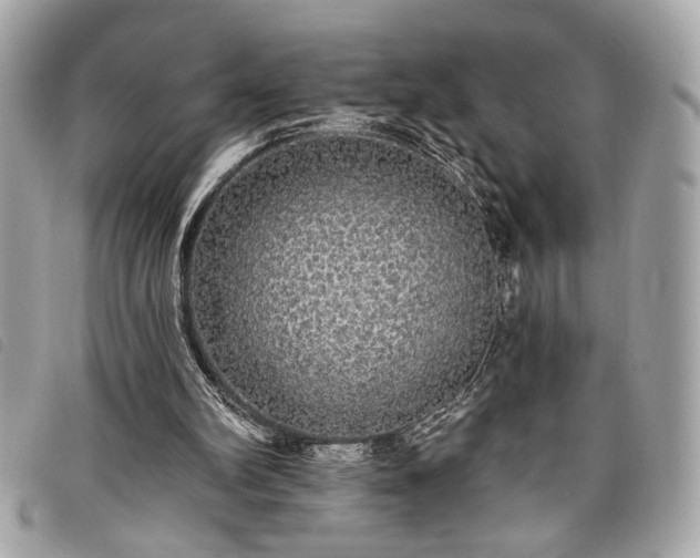 X0000098010102200804071338