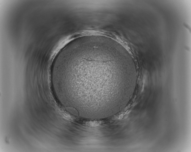 X0000098010103200804071338