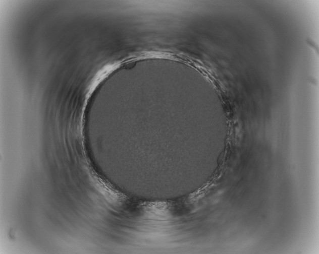 X0000098010104200804071338