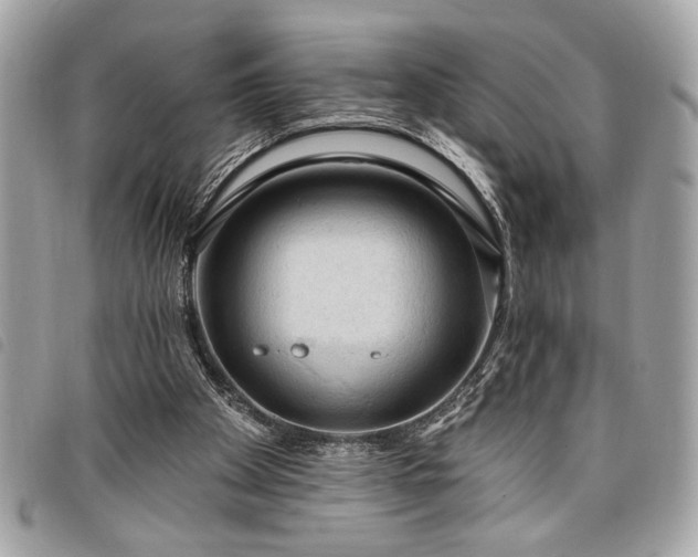 X0000098010105200804071338