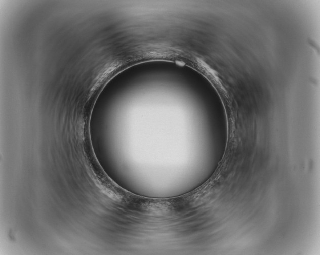 X0000098010106200804071338