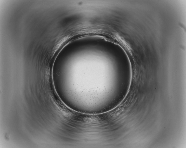 X0000098010107200804071338