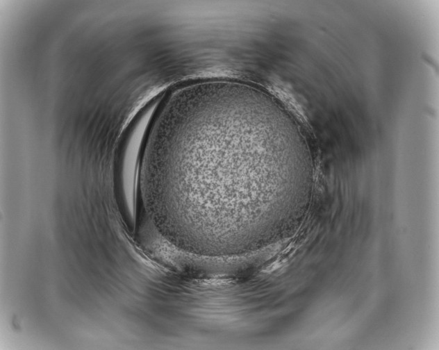 X0000098010108200804071338