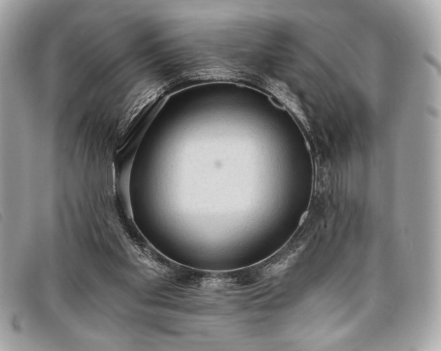 X0000098010109200804071338