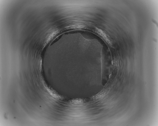 X0000098010110200804071338