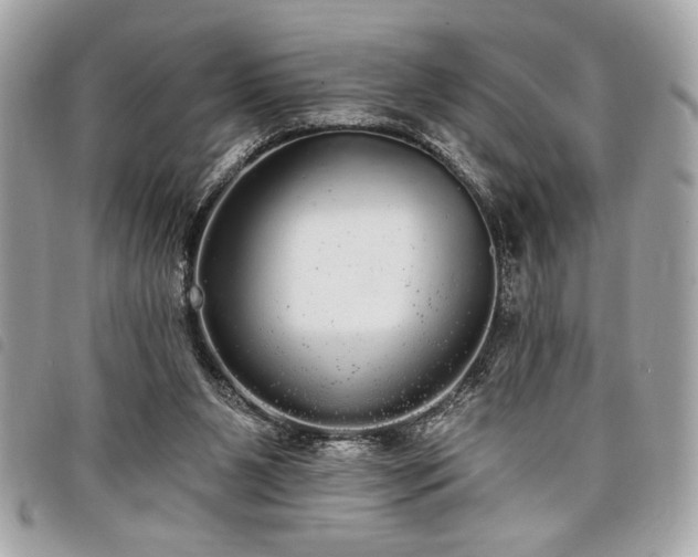 X0000098010111200804071338