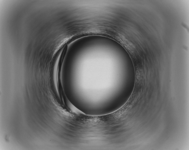 X0000098010112200804071338