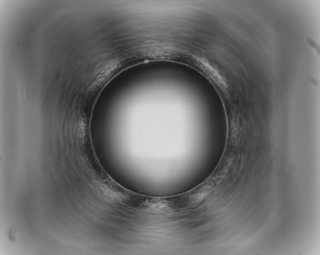 X0000098010113200804071338