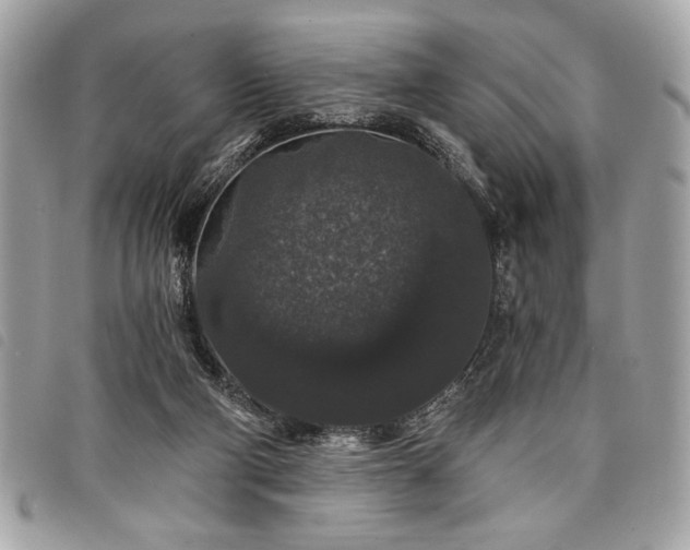 X0000098010114200804071338