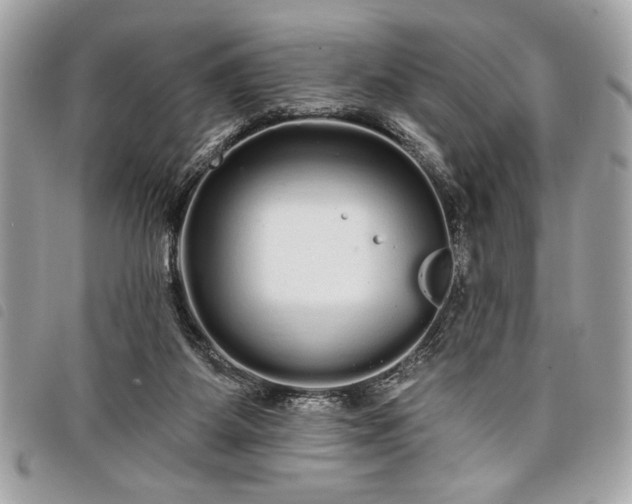 X0000098010115200804071338