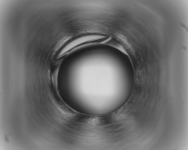 X0000098010116200804071338