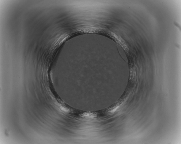 X0000098010117200804071338