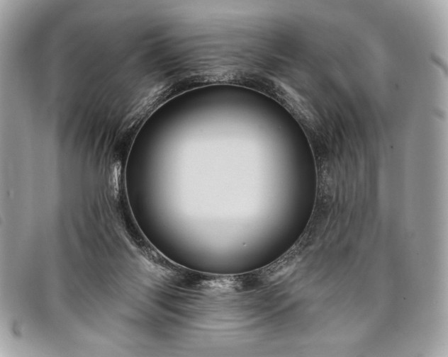 X0000098010118200804071338