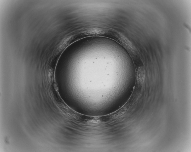 X0000098010119200804071338