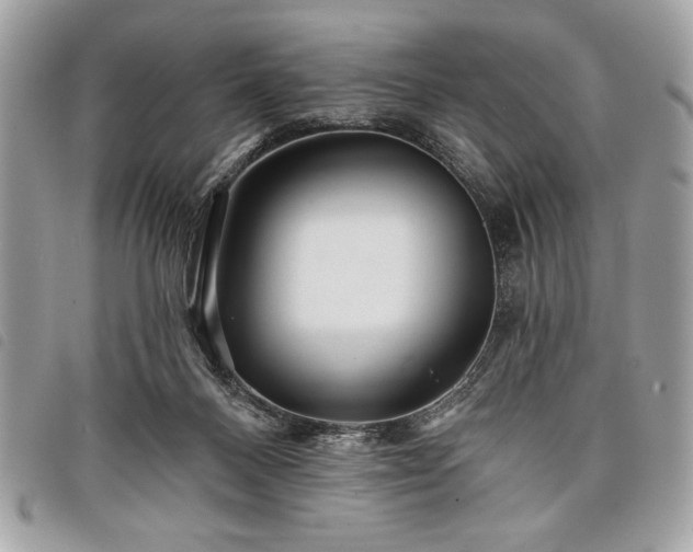 X0000098010120200804071338