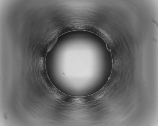 X0000098010121200804071338