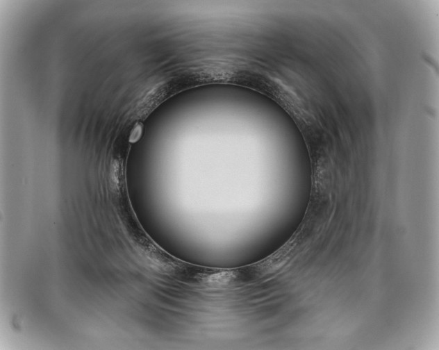 X0000098010122200804071338