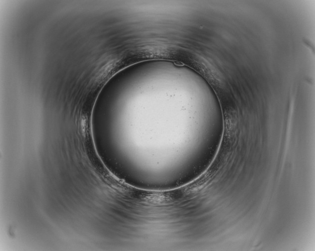 X0000098010123200804071338