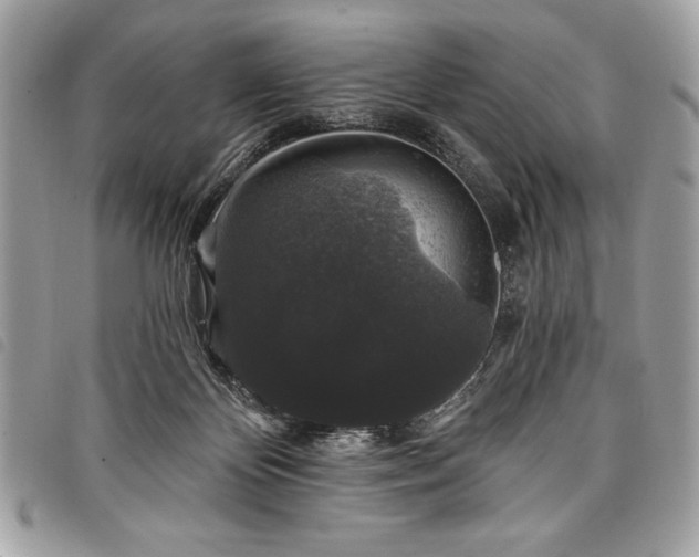 X0000098010124200804071338