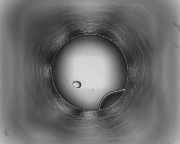 X0000098010126200804071337