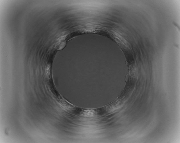 X0000098010127200804071337