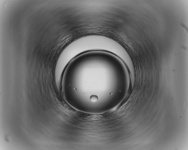 X0000098010128200804071337