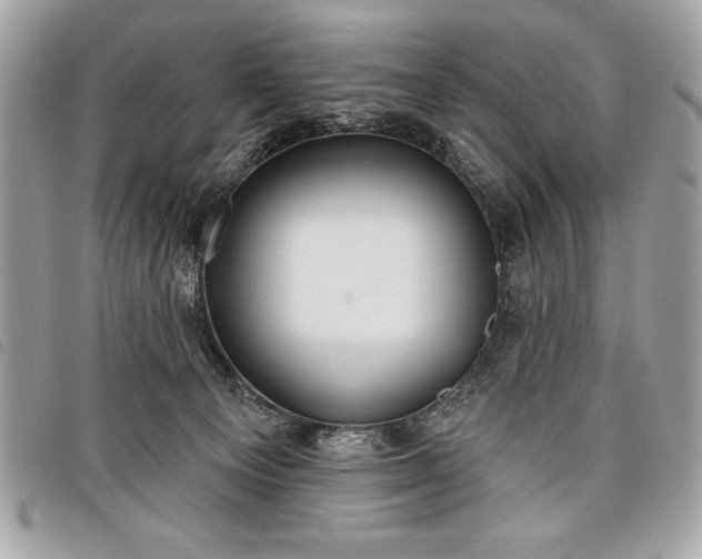 X0000098010129200804071337