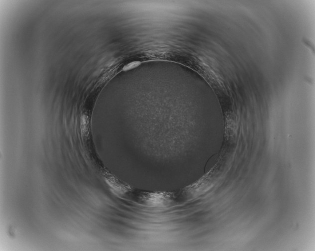 X0000098010130200804071337