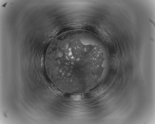 X0000098010131200804071337