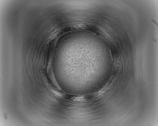 X0000098010132200804071337