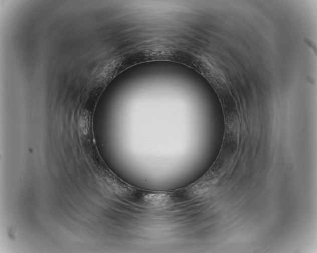 X0000098010133200804071337