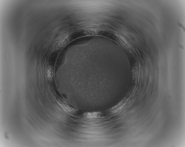 X0000098010134200804071337