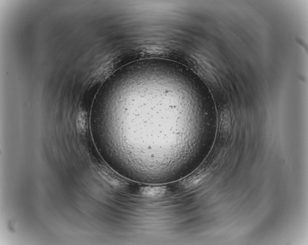 X0000098010135200804071337