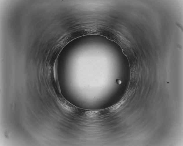 X0000098010136200804071337