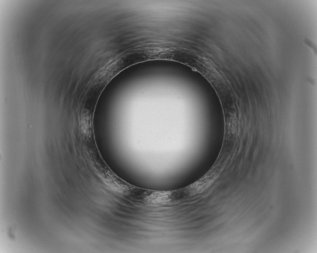 X0000098010138200804071337