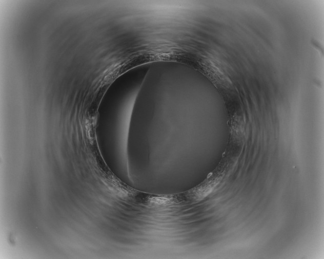 X0000098010139200804071337