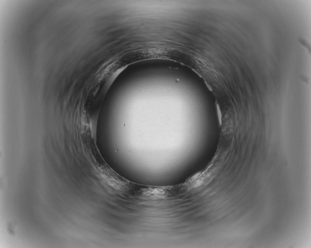 X0000098010140200804071337