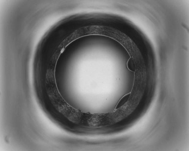 X0000098010142200804071337