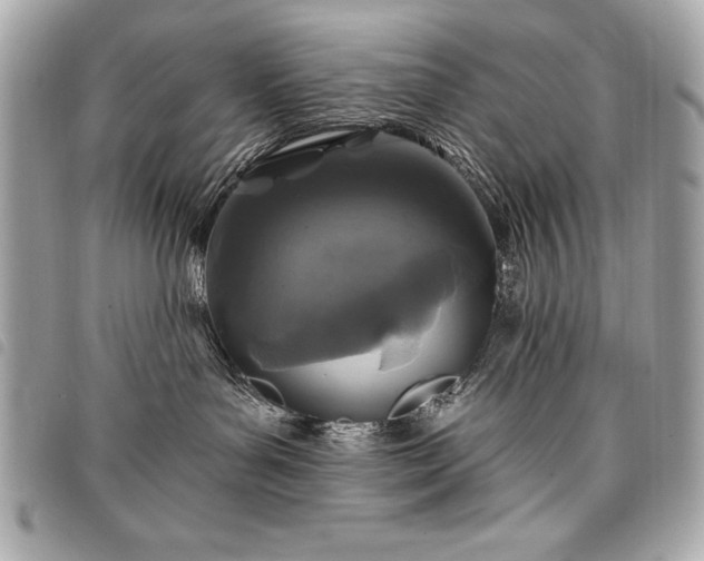 X0000098010143200804071337