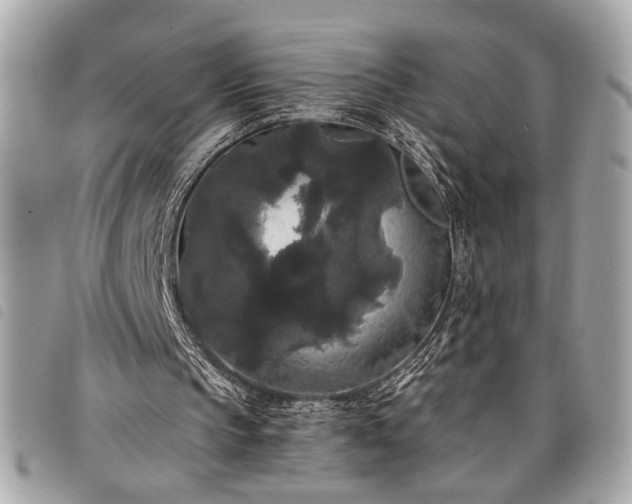 X0000098010145200804071336